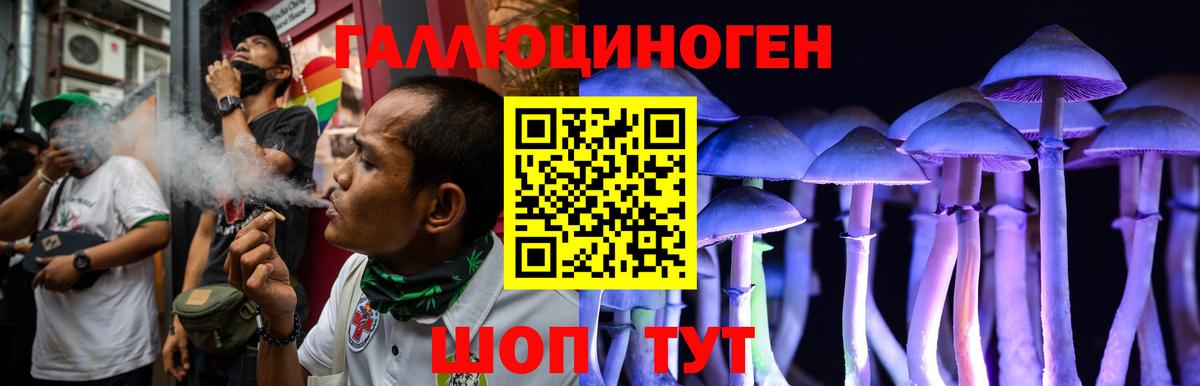 Псилоцибиновые грибы Psilocybe Симферополь